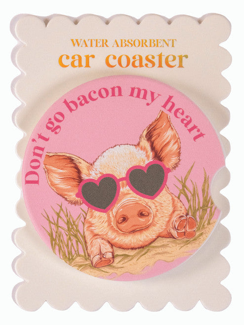 Simply Southern Car Coasters